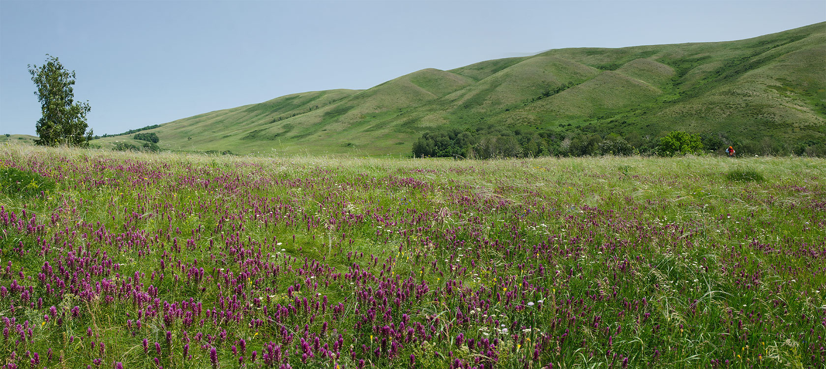 Султанбаево, image of landscape/habitat.