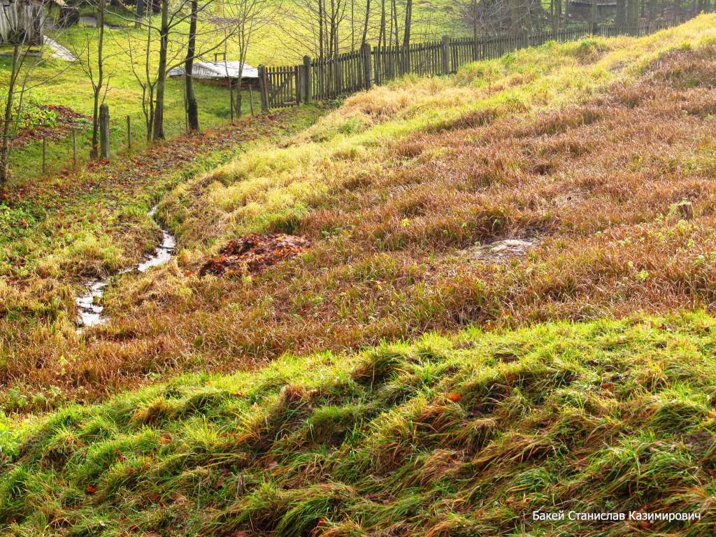 Замковый ручей, image of landscape/habitat.