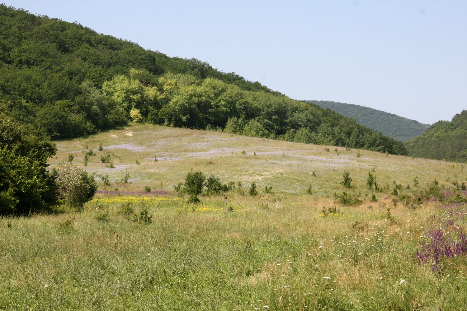 Крымский геологический полигон, image of landscape/habitat.