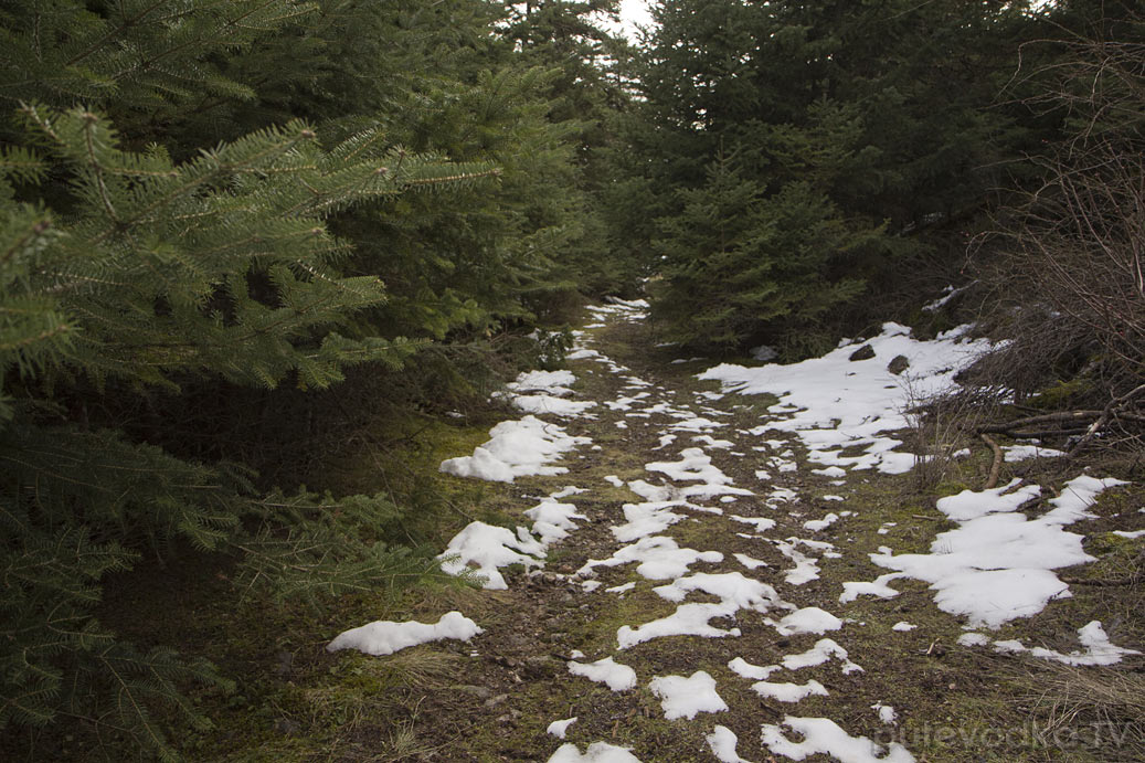 Витина и окрестности, image of landscape/habitat.