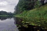 Долина реки Медведица, изображение ландшафта.
