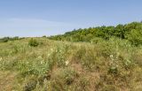 Image of landscape