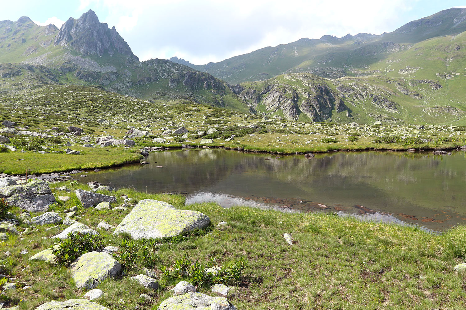 Ацгарские озёра, image of landscape/habitat.