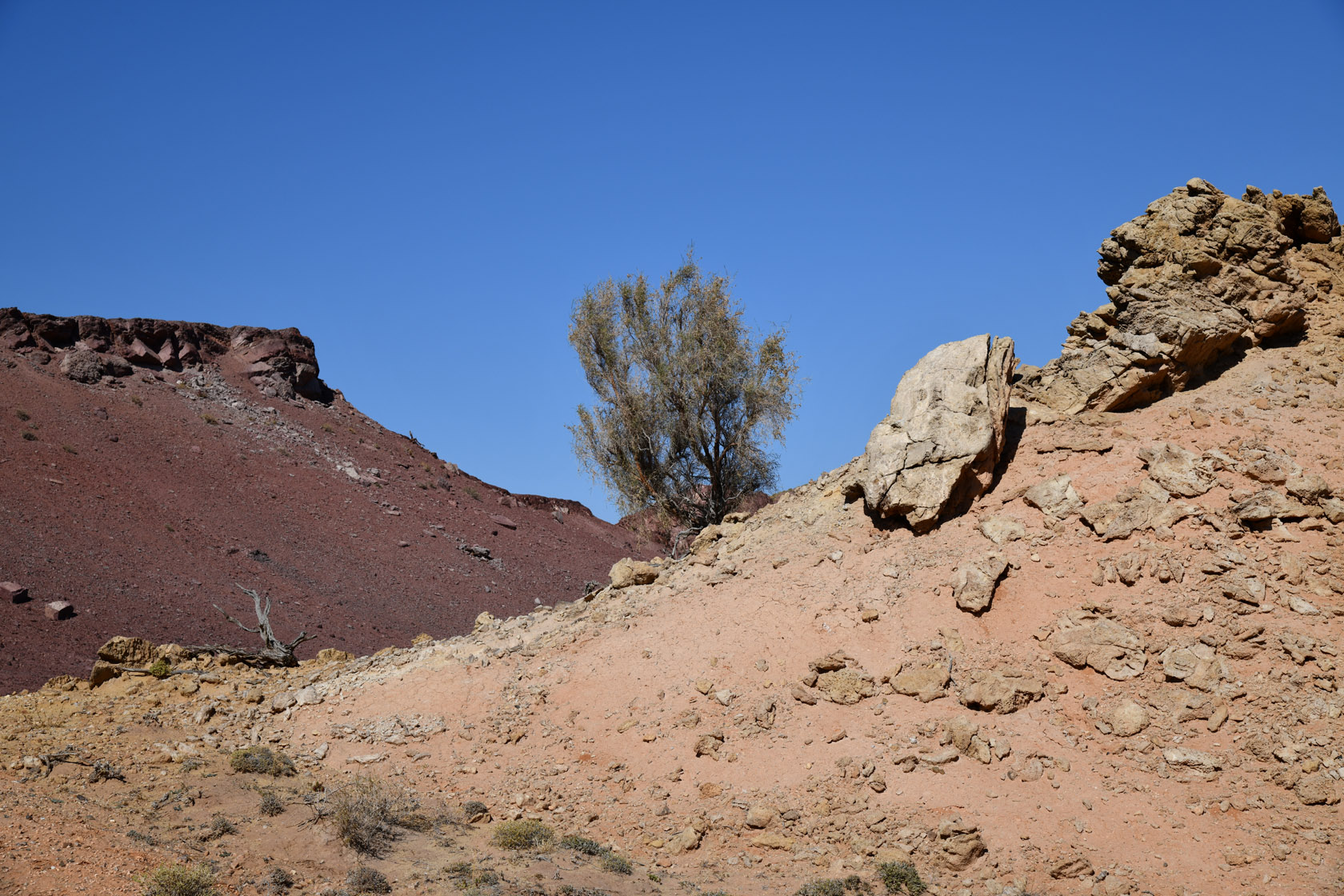 Горы Улькен-Богуты, image of landscape/habitat.