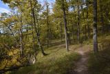 Окрестности горы Черединова, image of landscape/habitat.