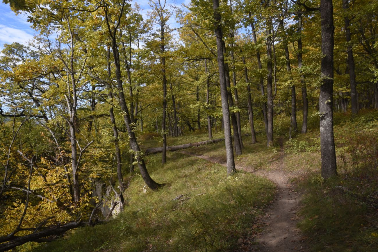 Окрестности горы Черединова, image of landscape/habitat.
