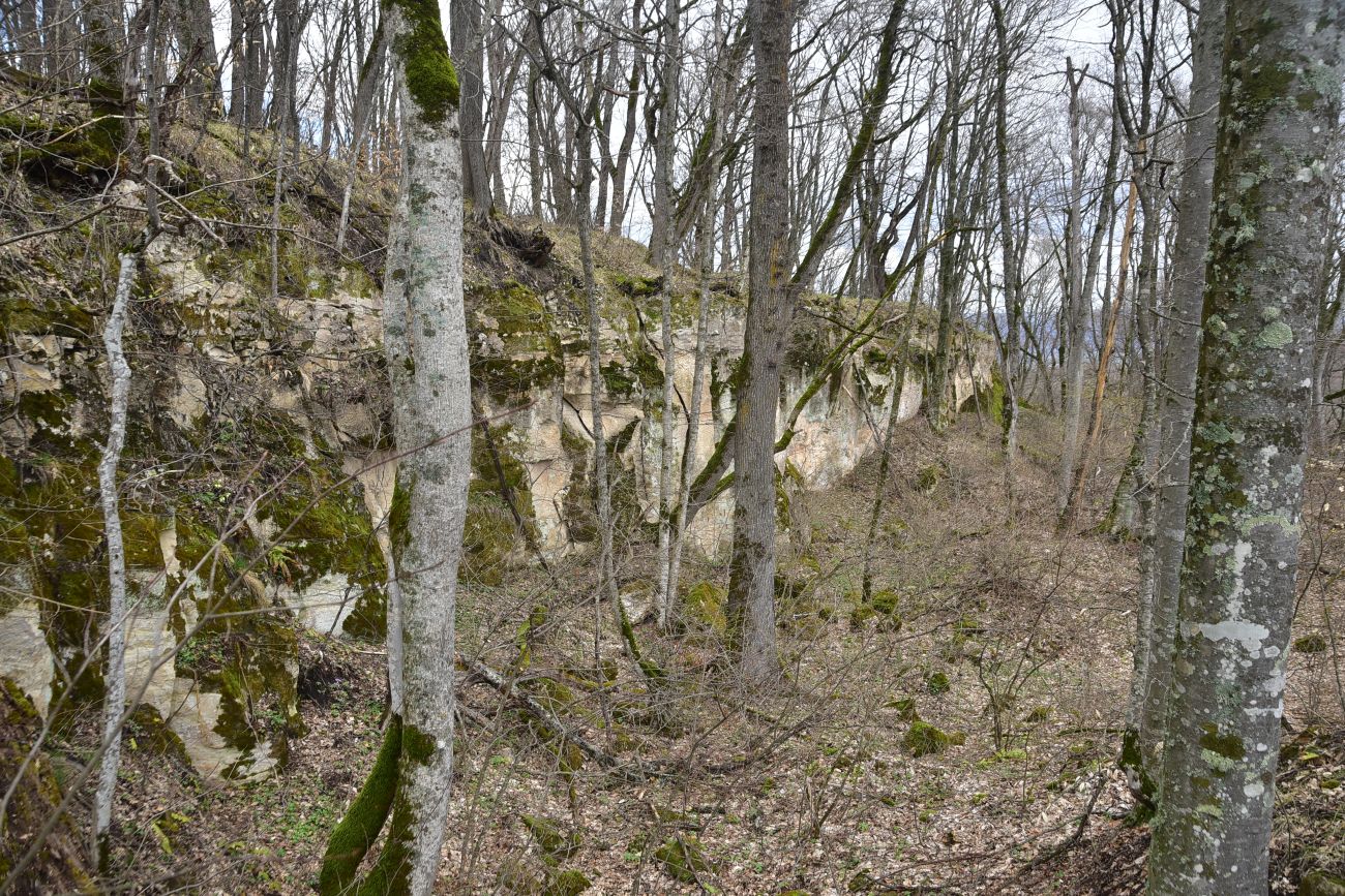 Гора Острах, image of landscape/habitat.