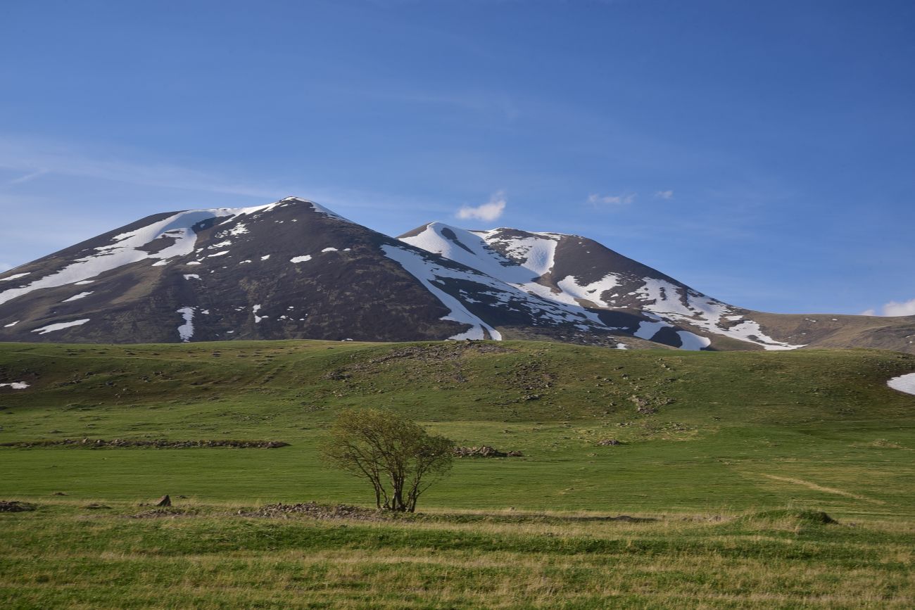 Гора Диди Абули, image of landscape/habitat.