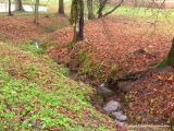 Замковый ручей, image of landscape/habitat.