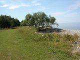 Image of landscape