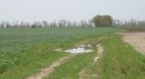 Image of landscape