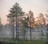 Landscape image