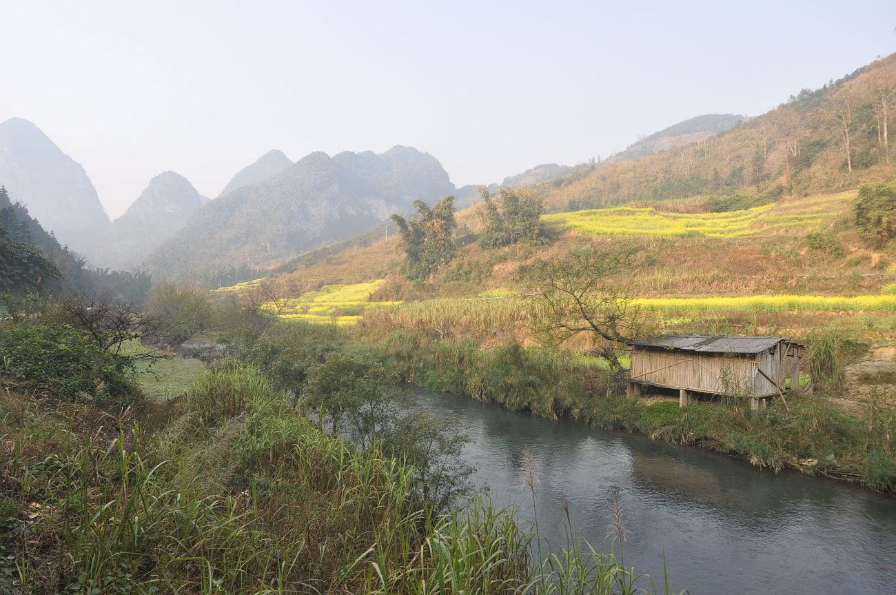 Парк «Guangnan Baimei», изображение ландшафта.