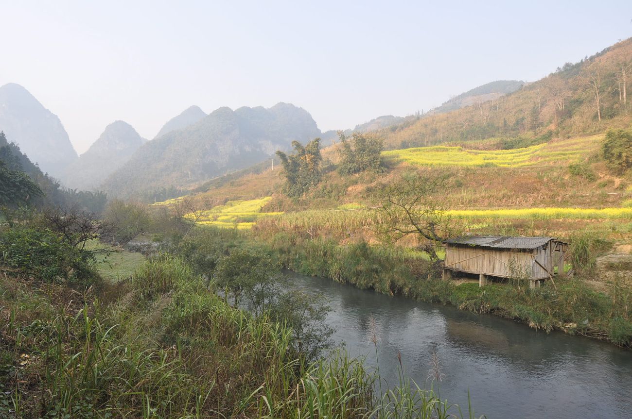 Парк «Guangnan Baimei», image of landscape/habitat.