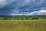 Чистое и окрестности, image of landscape/habitat.