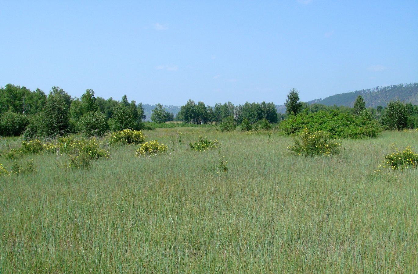 Биликтуй, image of landscape/habitat.