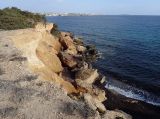 Image of landscape