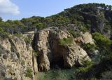 Image of landscape