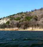 Image of landscape