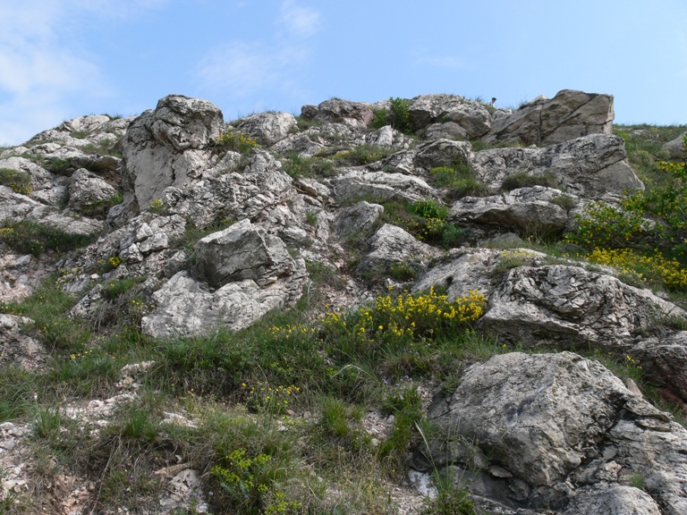 Будайские горы, image of landscape/habitat.