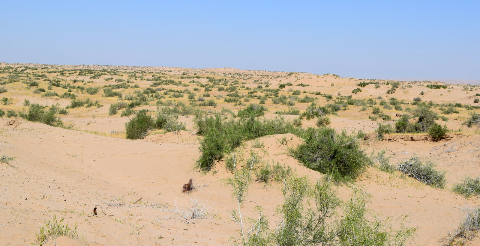 Пески Каттакум, изображение ландшафта.