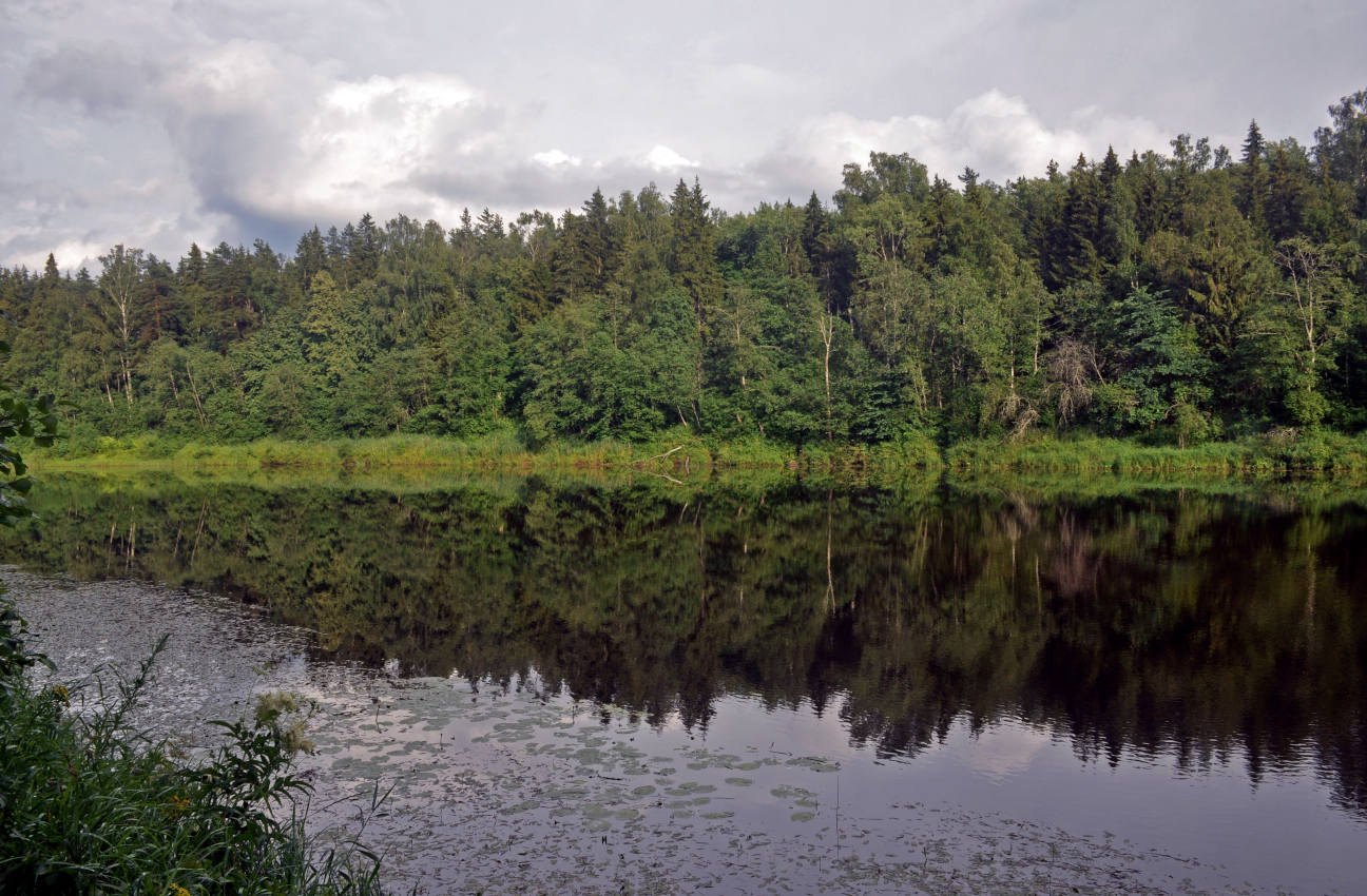 Долина реки Медведица, image of landscape/habitat.
