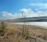 Озеро Чокрак, image of landscape/habitat.