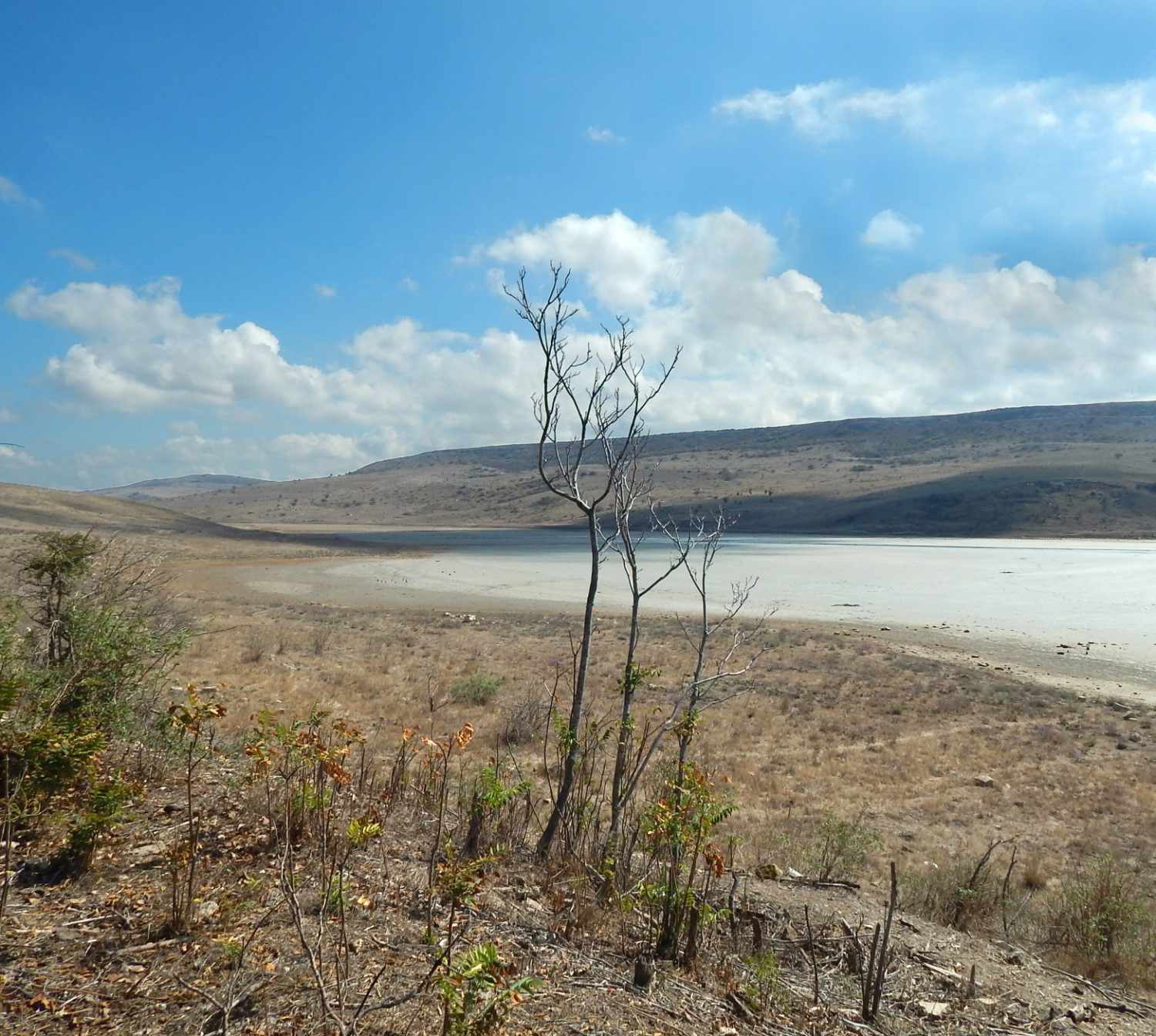 Озеро Чокрак, изображение ландшафта.