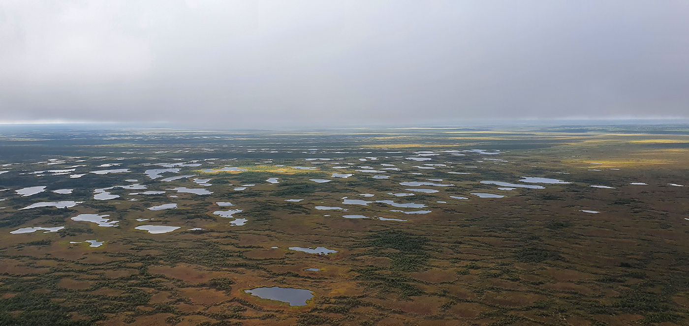 Васюганское болото, Казанское, изображение ландшафта.