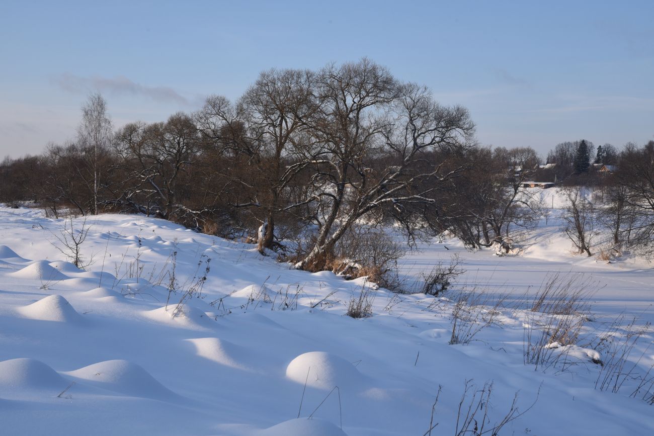 Окрестности деревни Сатино, image of landscape/habitat.