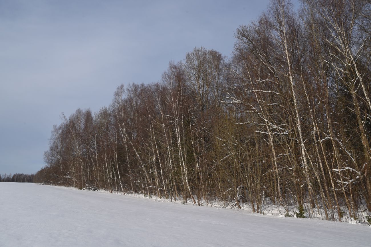 Окрестности деревни Чёлохово, image of landscape/habitat.