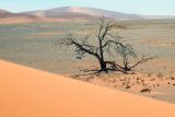 Намиб, image of landscape/habitat.