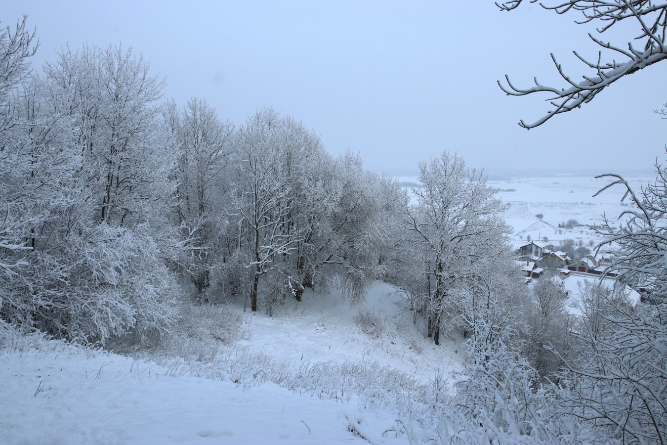 Дудергофские высоты, image of landscape/habitat.