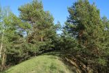Image of landscape