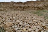 Image of landscape