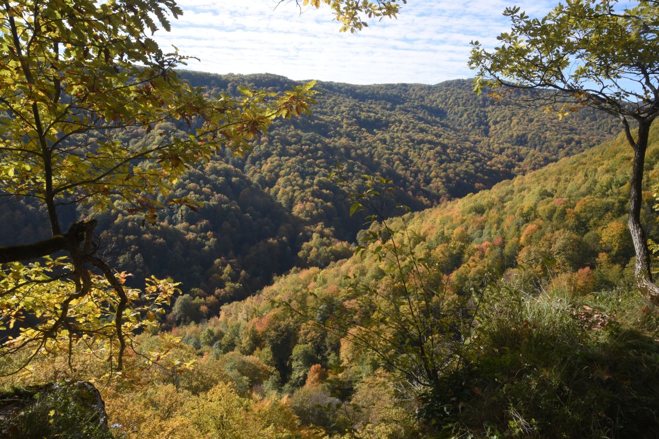 Долина реки Аминовка, image of landscape/habitat.