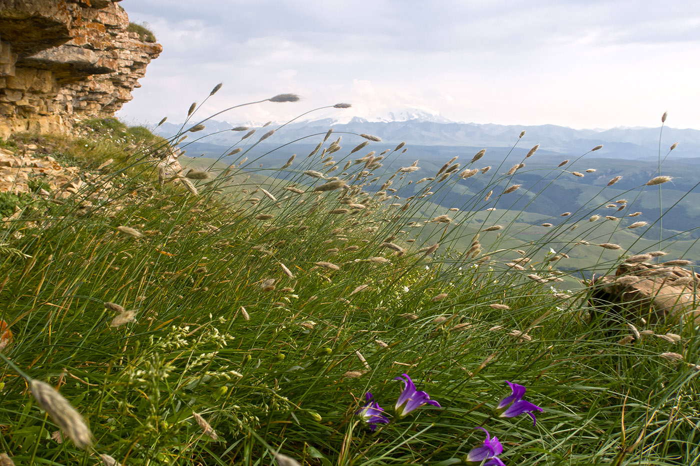 Большой Бермамыт, image of landscape/habitat.
