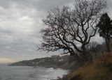 Image of landscape