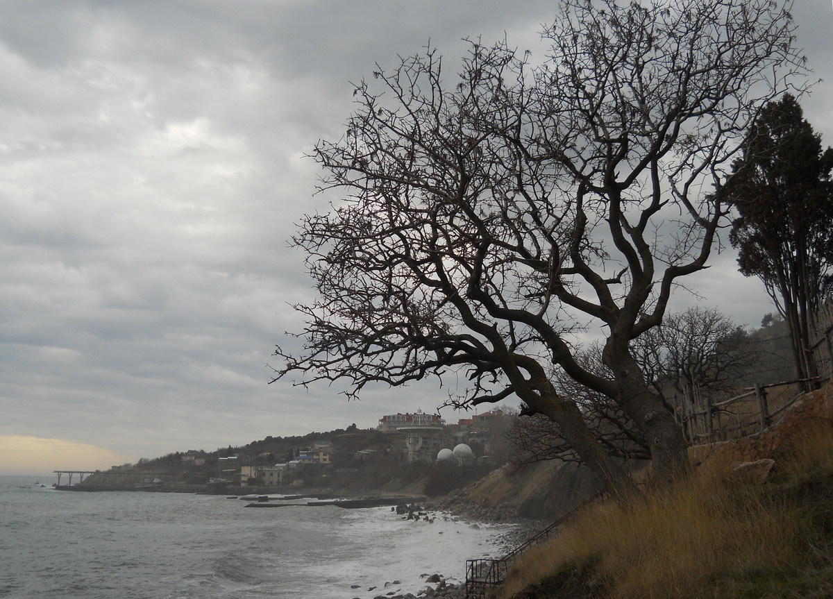 Окрестности Кацивели, image of landscape/habitat.