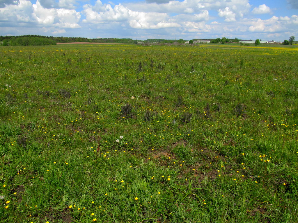 Романюки, image of landscape/habitat.