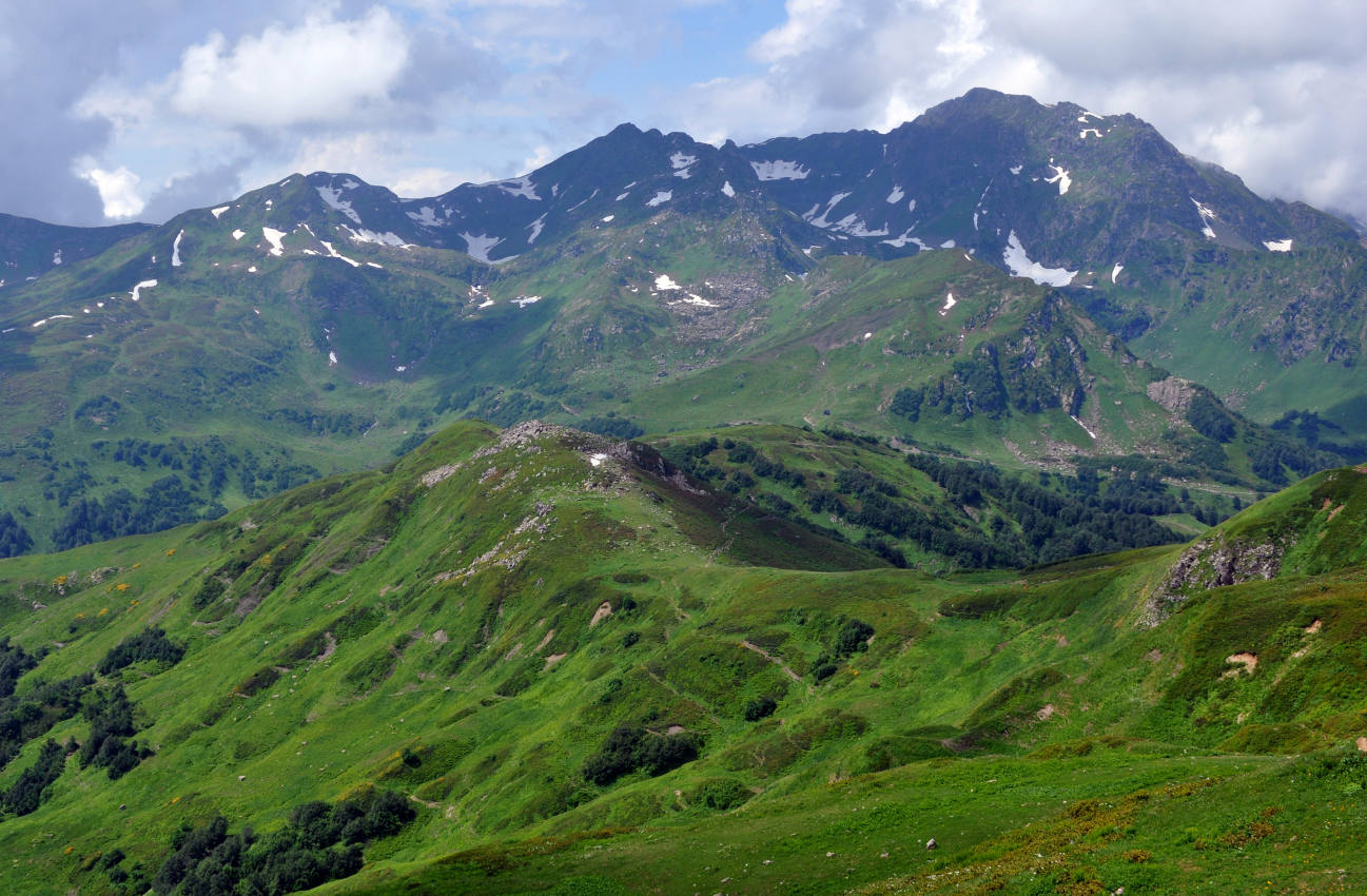 Перевал Пыв, image of landscape/habitat.