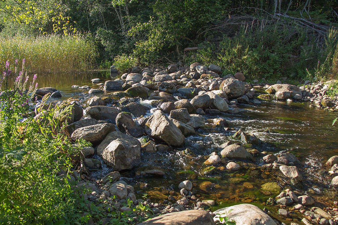 Озеро Наговье, image of landscape/habitat.