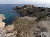 Image of landscape