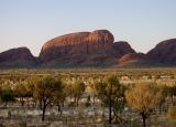 Uluru - Kata Tjuta, image of landscape/habitat.