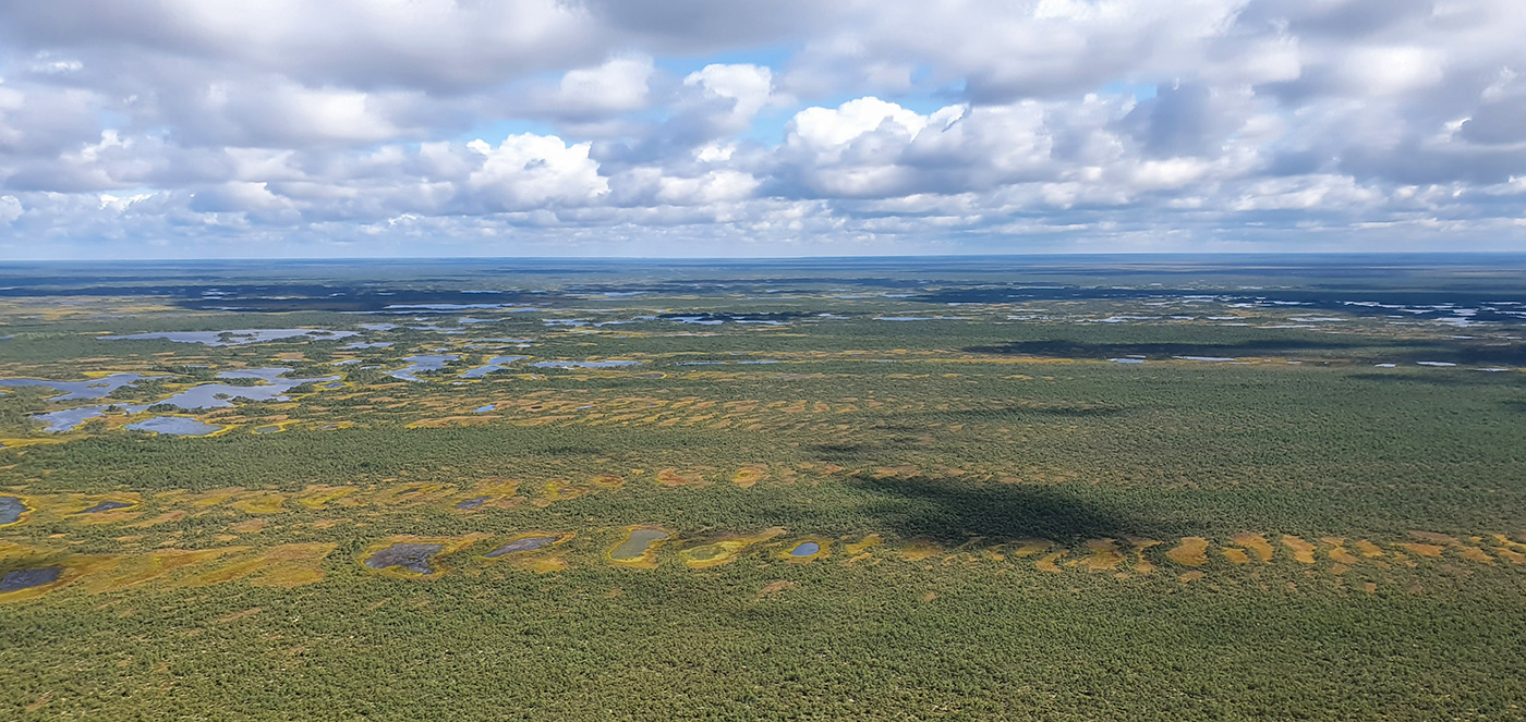 Васюганское болото, Болтное, image of landscape/habitat.