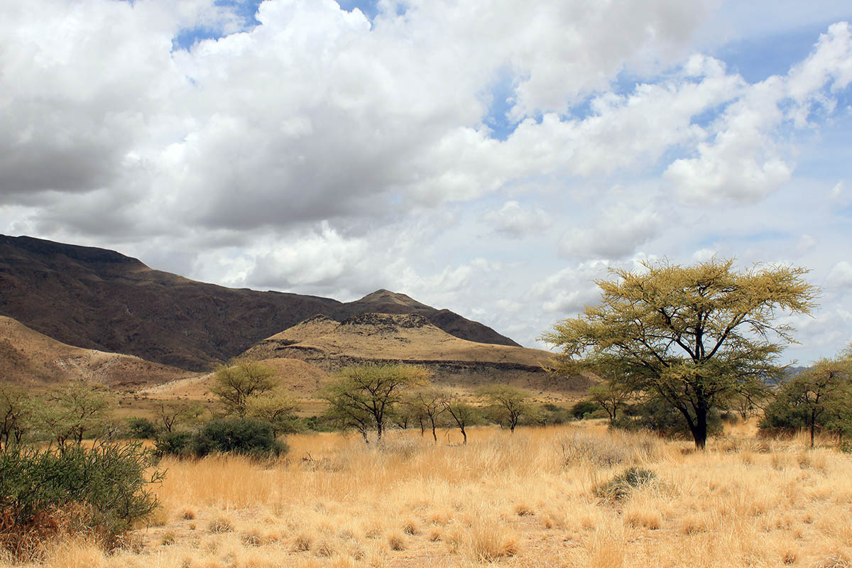 Гамсберг, image of landscape/habitat.