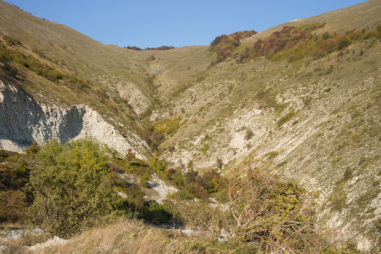 Истоки Мефодиевского ручья, image of landscape/habitat.