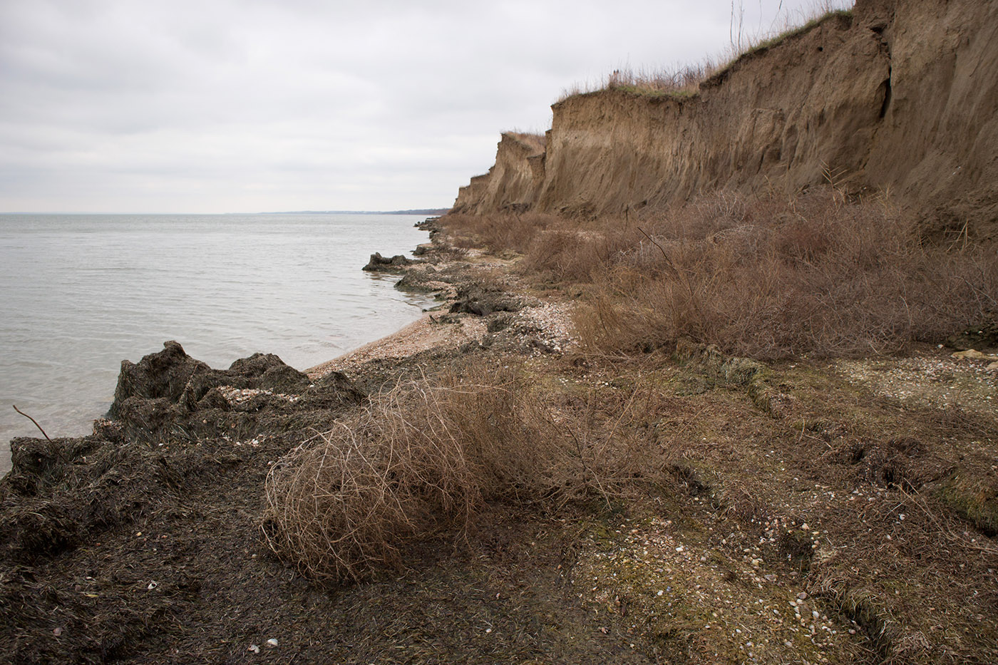 Кизилташский лиман, image of landscape/habitat.