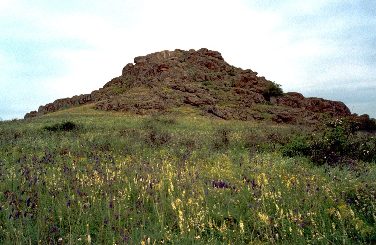 Заповедник "Каменные Могилы", image of landscape/habitat.