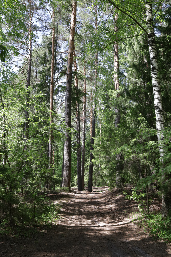 Пустынь, image of landscape/habitat.